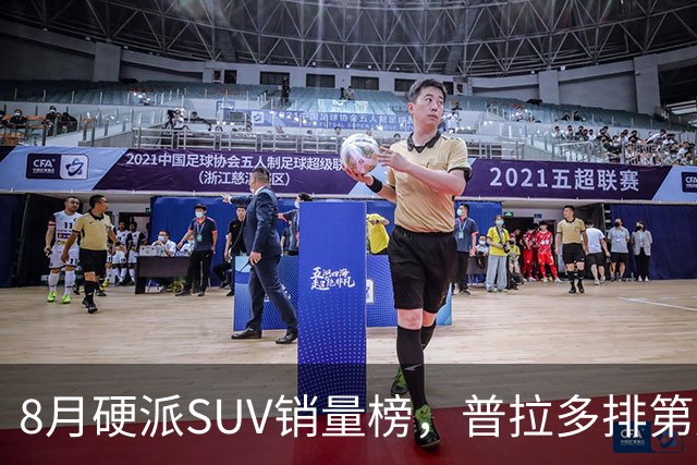 8月硬派SUV销量榜，普拉多排第八，豹8杀回前十